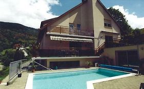 Au Pied Du Markstein